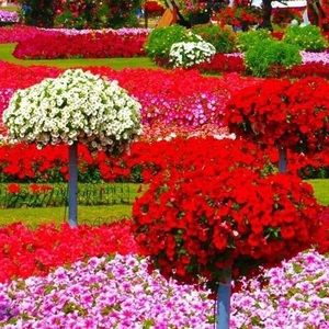 Meet your Posher, Ann